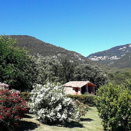 Can Pedragos Sales de Llierca Luaran gambar